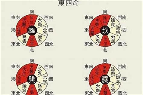 东四命离命人|离宫东四命是什么意思